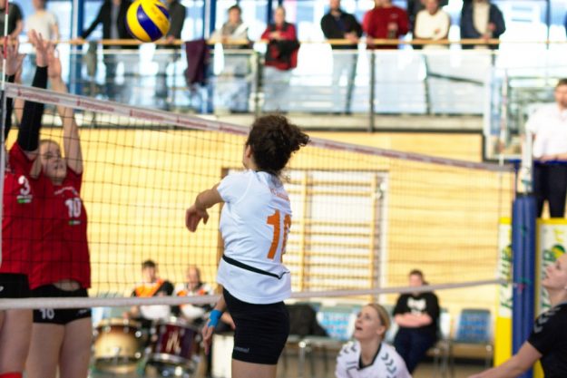 © 2017 Ingo Heinemann